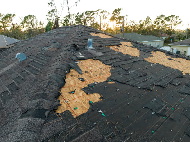 Professional Roofing Service  in Tehaleh, WA